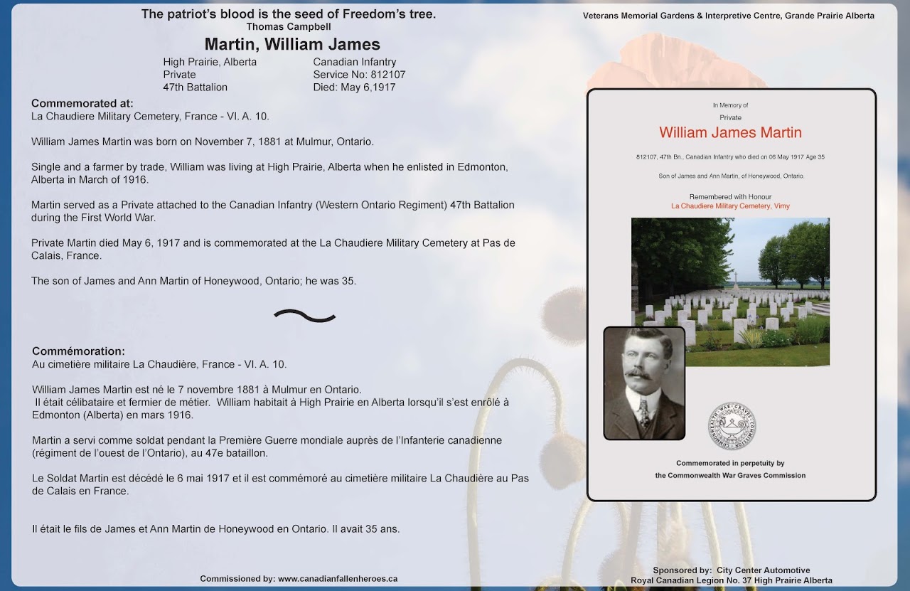 William Martin Image